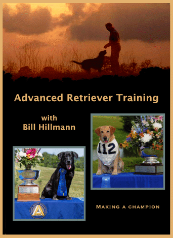 Advanced Retriever Training with Bill Hillmann