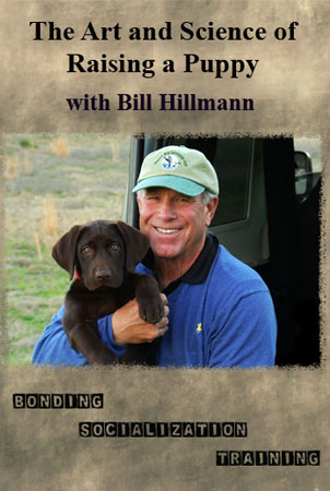 The Art and Science of Raising a Puppy Video with Bill Hillmann