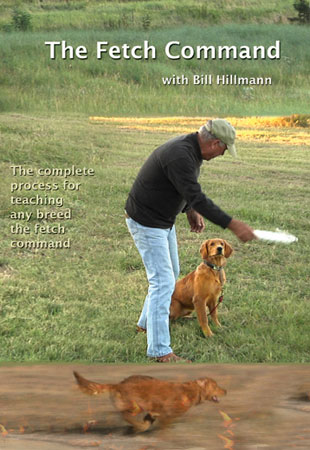 The Fetch Command Video with Bill Hillmann