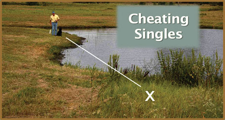 Cheating Singles