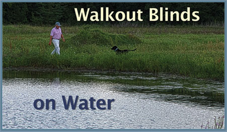 Walkout Blinds