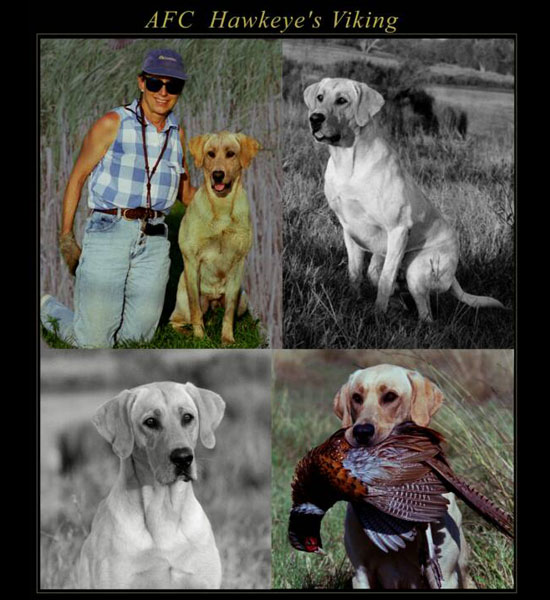 Mary Hillmann Photography