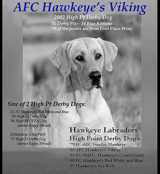 AFC Hawkeye's Viking